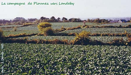 Landeby